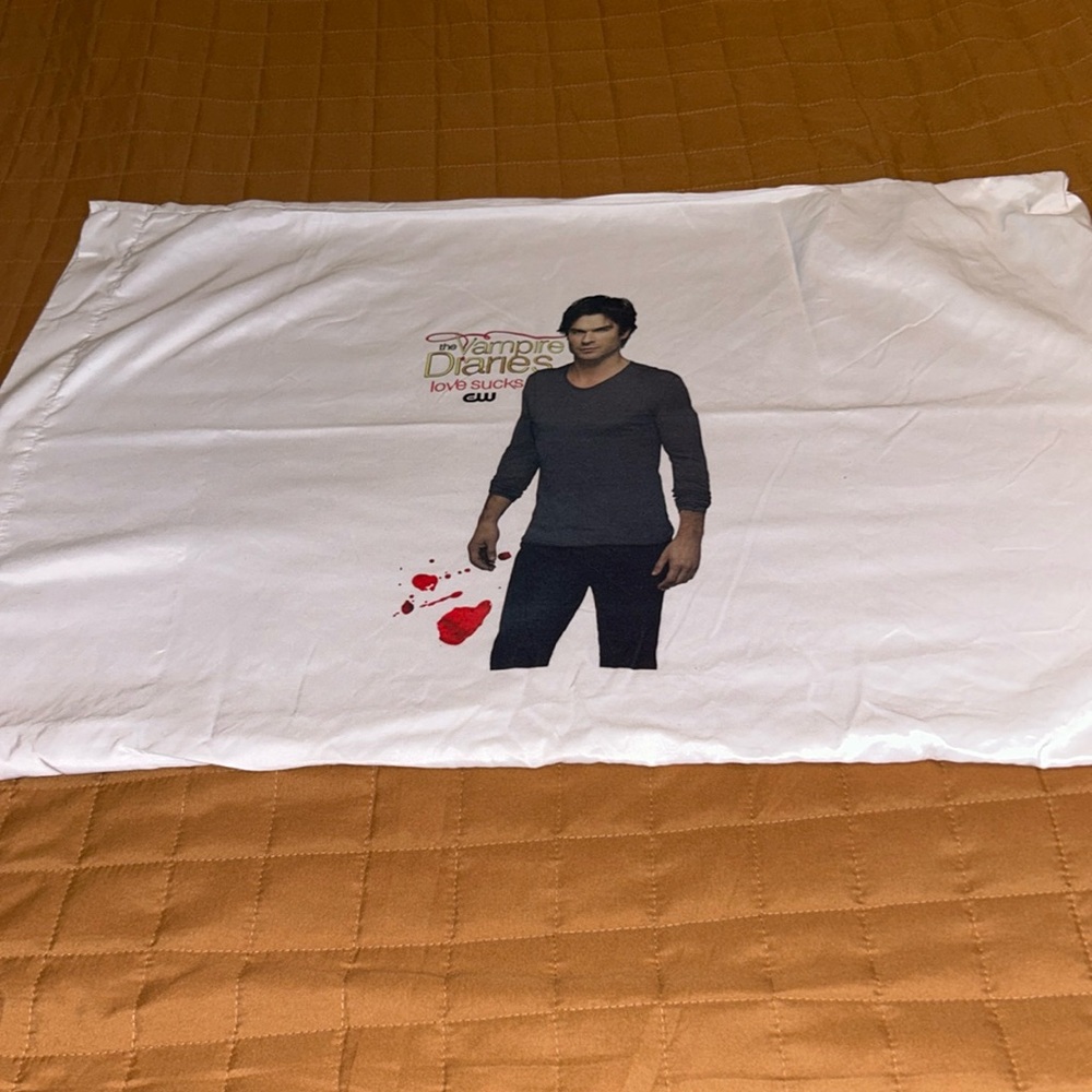 Vampire Diaries *Damon* Pillowcase